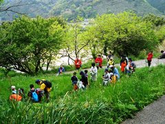 里山学校では、オトナもこどもも一緒になって自然を深く学びます。