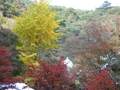 秋の小松寺