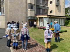 拡大写真