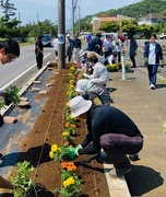 拡大写真