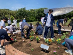 拡大写真