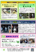 拡大写真