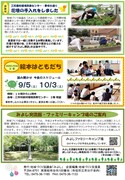 拡大写真