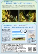 拡大写真