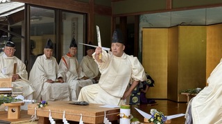 拡大写真