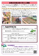 拡大写真